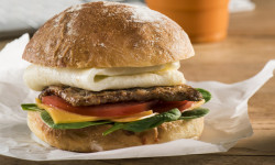Turkey Patty sandwich lores e1555757666128